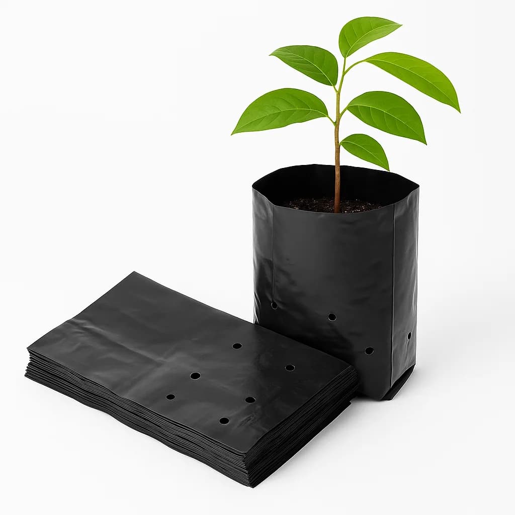 Sachet de pépinière avec jeune plant